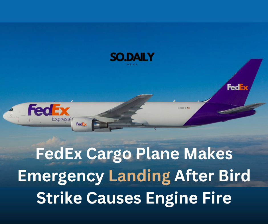 FedEx Cargo Plane Makes Emergency Landing After Bird Strike Causes Engine Fire