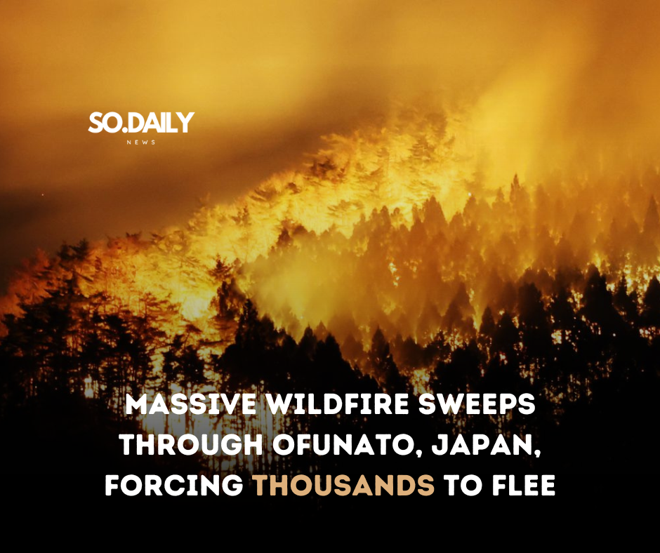 Breaking: Massive Wildfire Sweeps Through Ofunato, Japan, Forcing Thousands to Flee