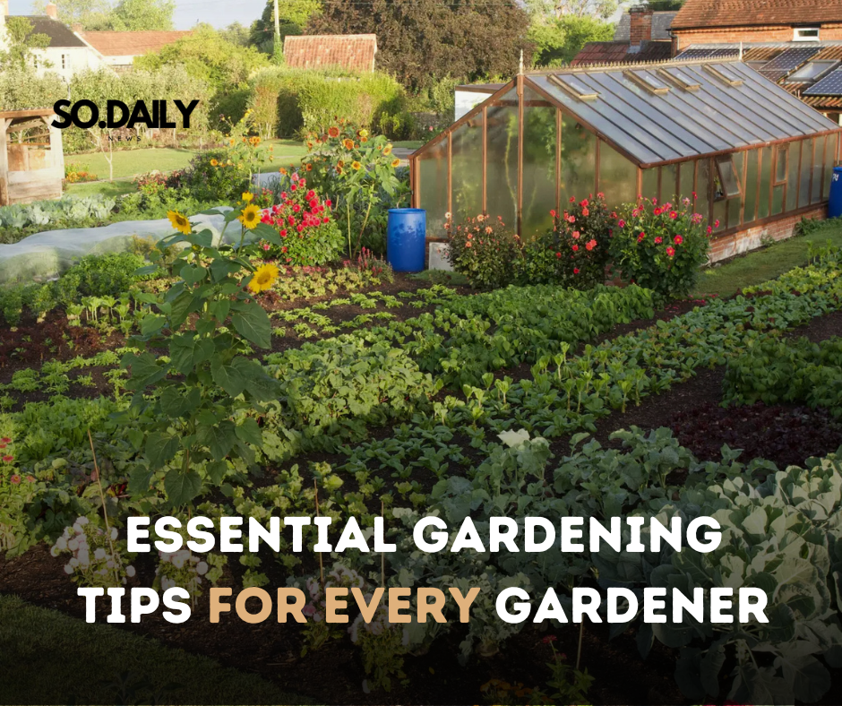 Essential Gardening Tips for Every Gardener