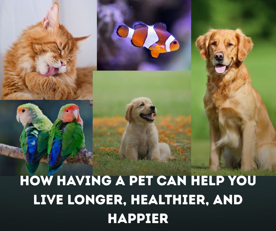 How Having a Pet Can Help You Live Longer, Healthier, and Happier